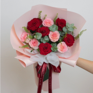 Hoa Hồng Nhiều Màu