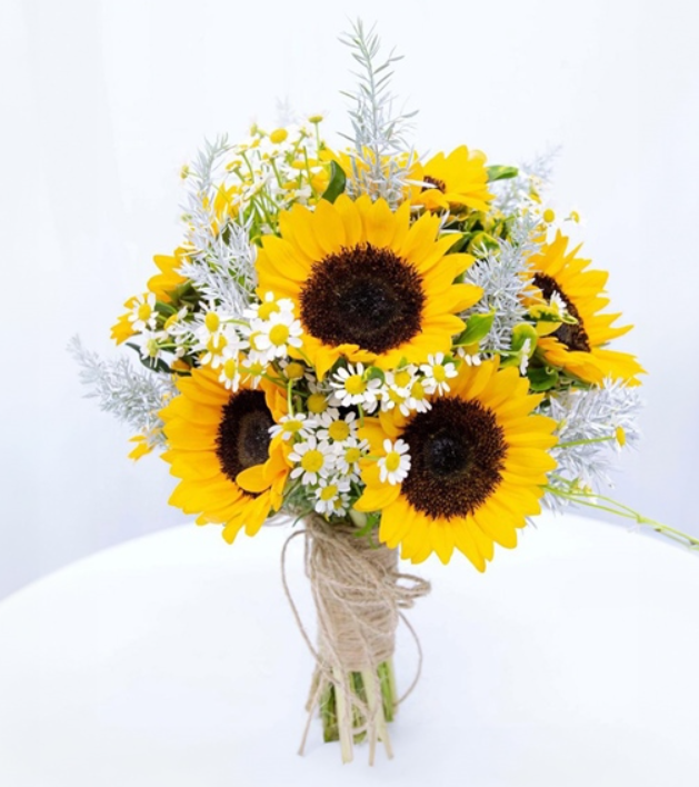 HOA HƯỚNG DƯƠNG