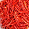 ớt tươi xuất khẩu