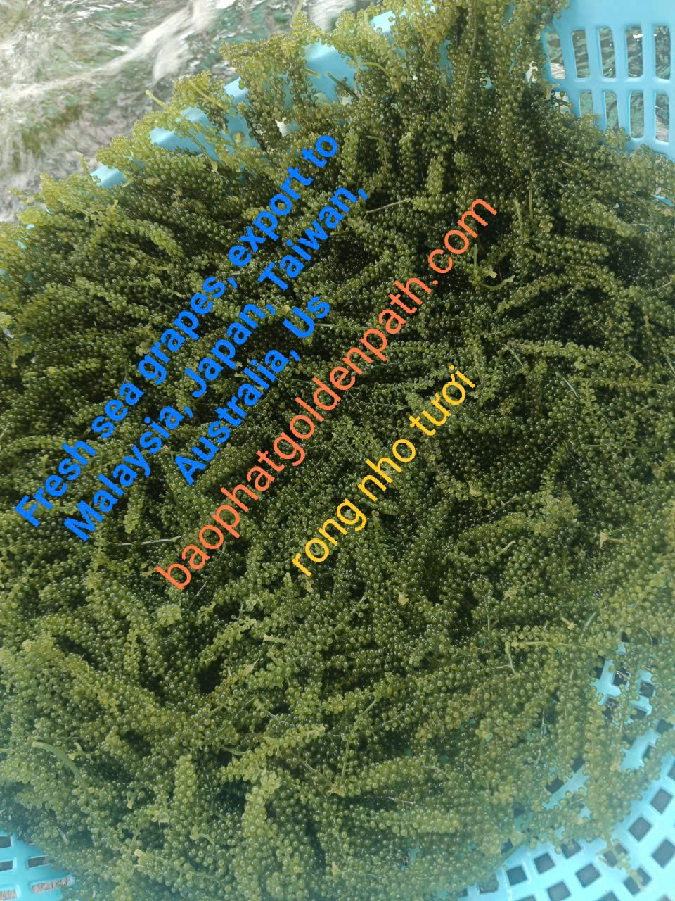 z7222421171096_e2d0f82e923d9cbf556db76c05b5a7c9