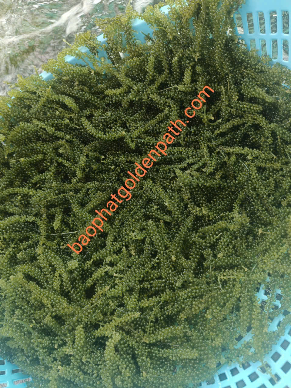 z7222421185554_b66631a006643f4047b9957c224d99f6