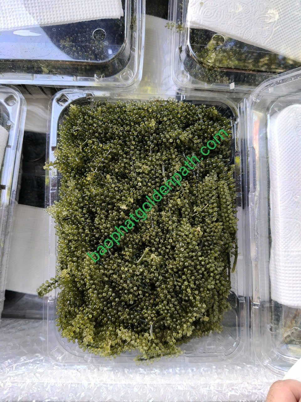 z7222508094312_47b9f5baee0b62b33e5eab01df9e29ea