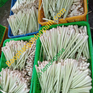 Sả Tươi Chuẩn Đẹp