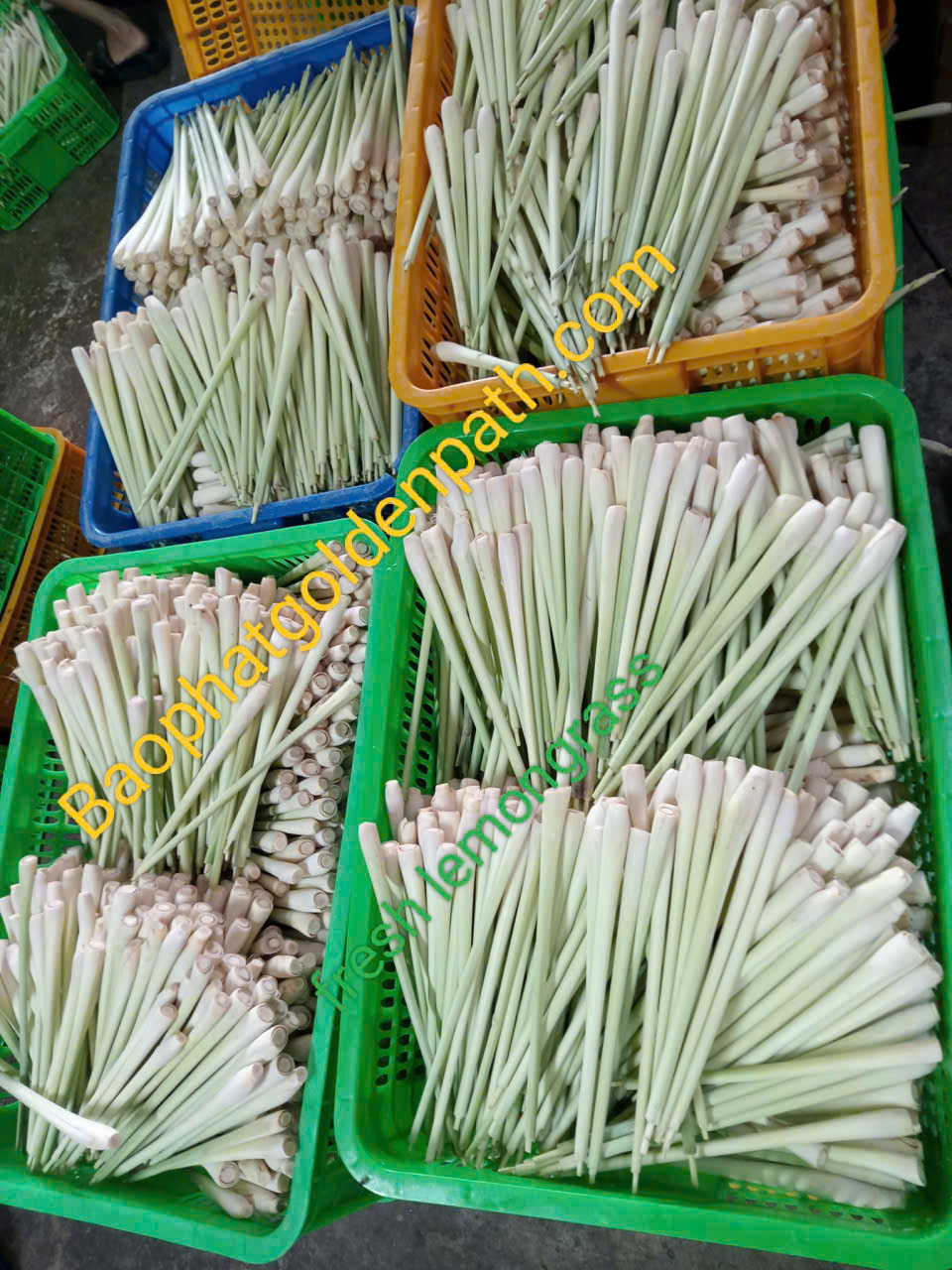 z7222511939047_89cffbaefc65d1b2be4334d4fd31b154