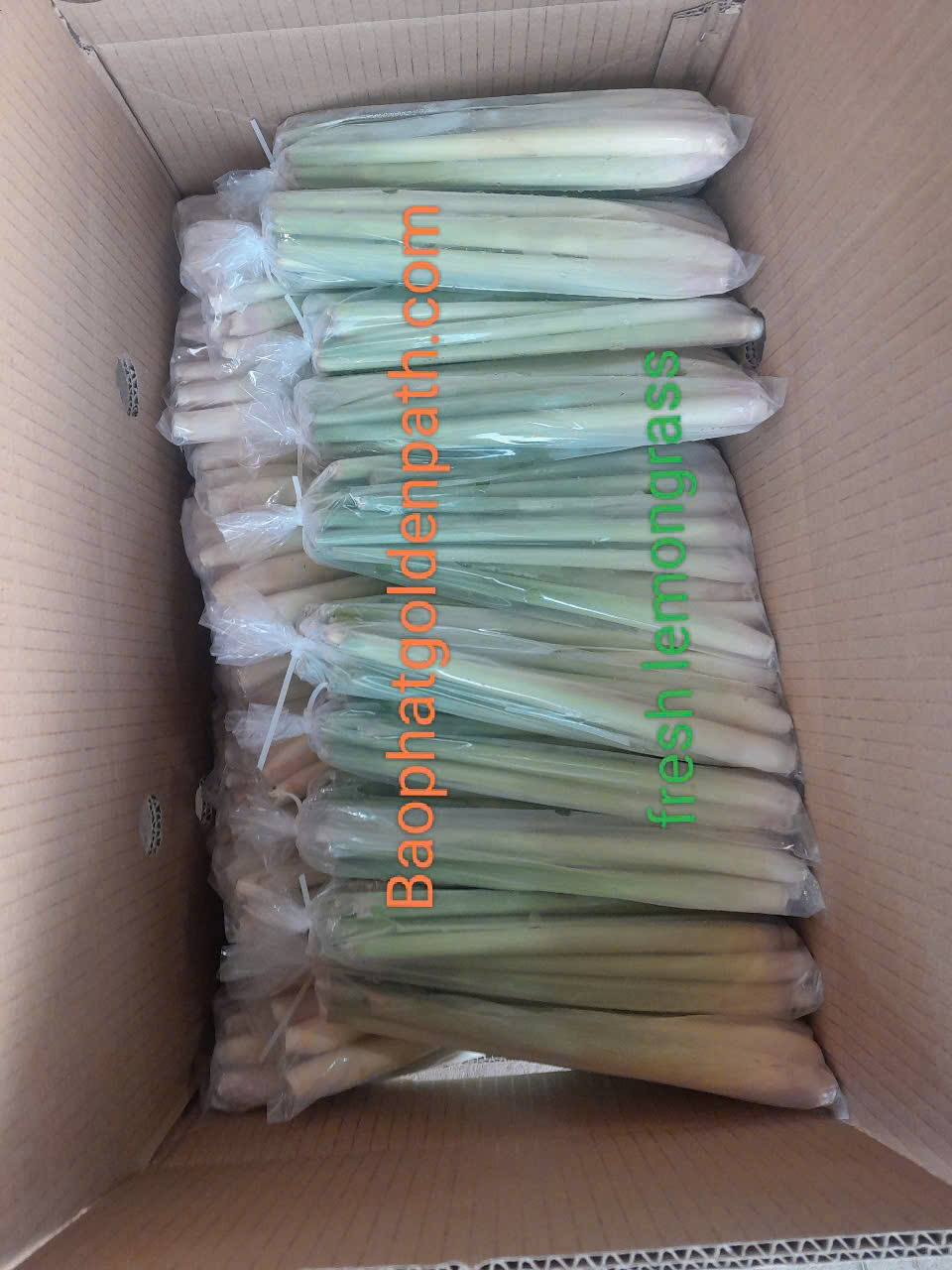 z7222511974544_fcd57e0fa64db41adb8568ad5eccfb17