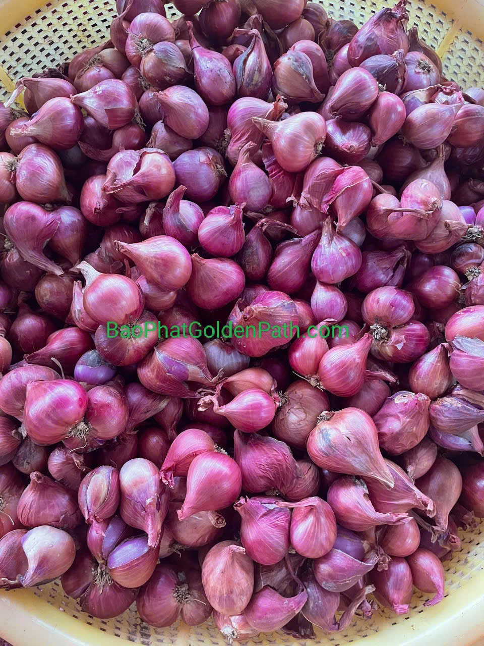 z7222560966653_99fc2127df3304f51a33ac6dc66ca7d4