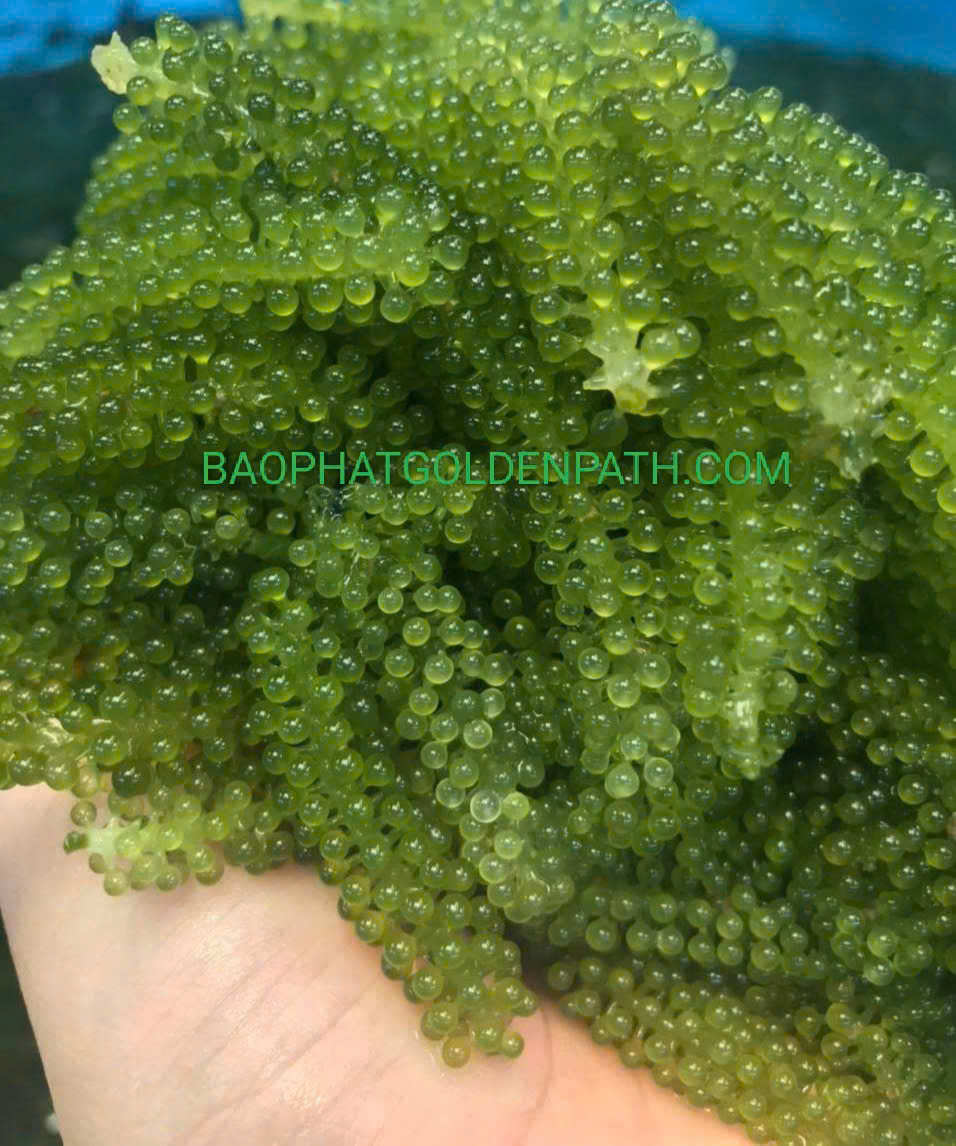 z7240408331905_9c43fcfa3c59902225b9636b95268fc7